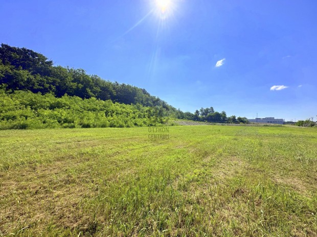 Veresegyh�zi elad� telek