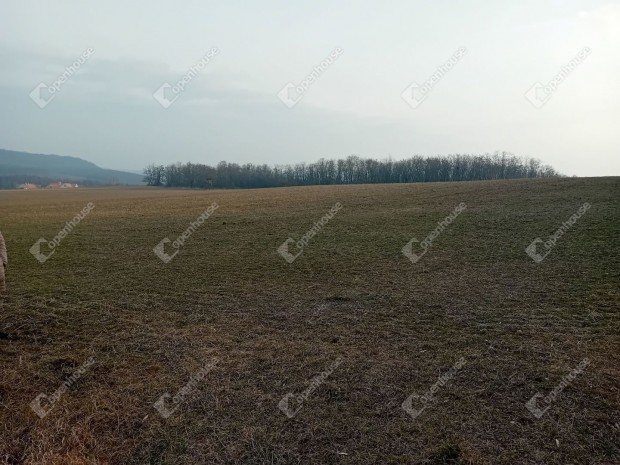 Vértessomlói 3724 nm-es szántó eladó