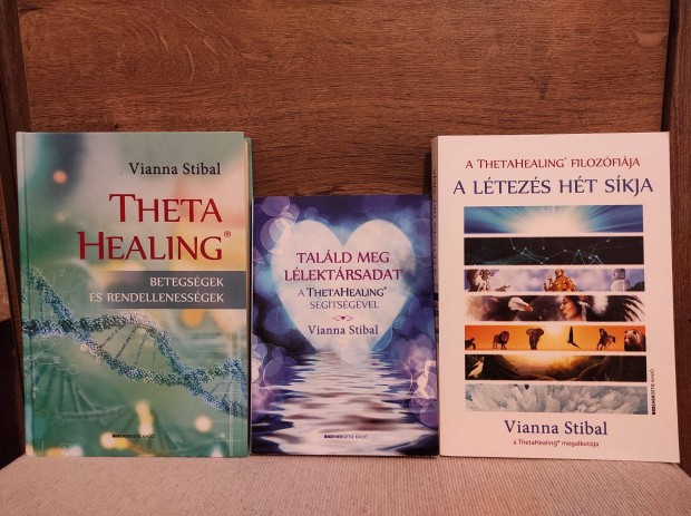 Vianna Stibal: Theta Healing knyvek