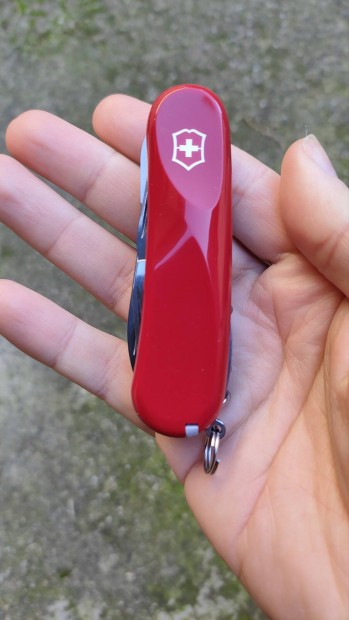 Victorinox Evolution 14 zsebks(j,vitrines)