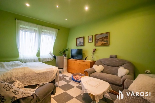 Vid�m hangulat� nagy lak�s