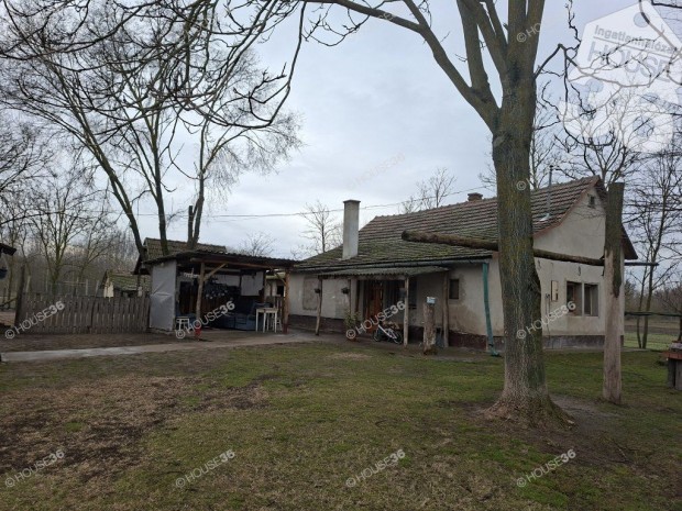 Vid�k b�k�je - saj�t tanya, saj�t vil�g!