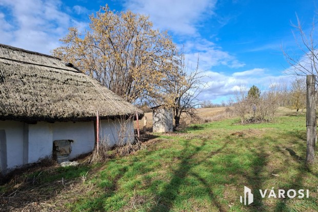 Vid�ki mened�k 20 percre Gy�rt�l