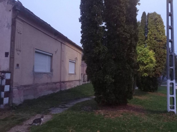 Vid�ki olcs� h�z