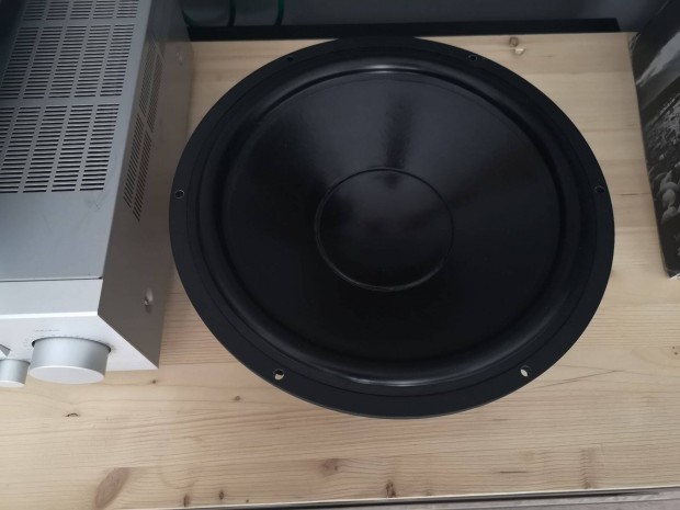 Vifa 12" High End 1db T+A TMR230 / International Shipping