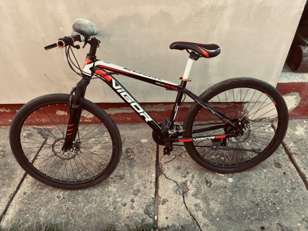 Vigor mountain bike