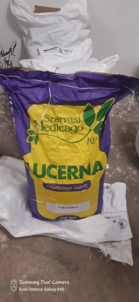 Vikt�ria lucerna mag