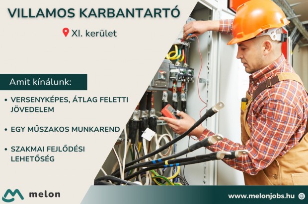 Villamos karbantartó