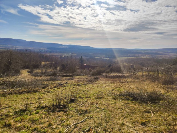 Vindornyalak sz�l�hegy 6877 m2 z�rtkerti telek elad�