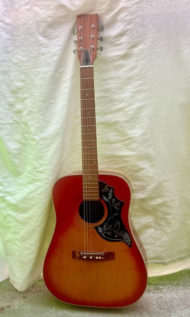 Vintage Gitr
