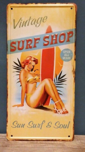 Vintage Surf shop (25073)