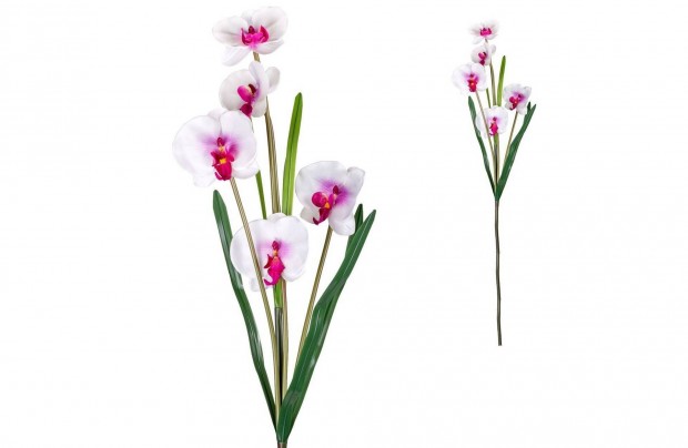 Virg dekoratv orchidea fehr 100 cm