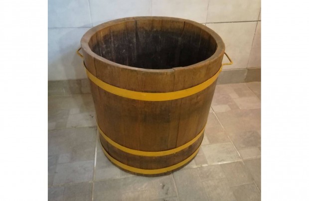 Virgdzsa elad