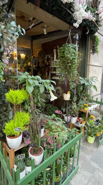 Vir�gk�t�t keres�nk az Astori�n�l Budapesten