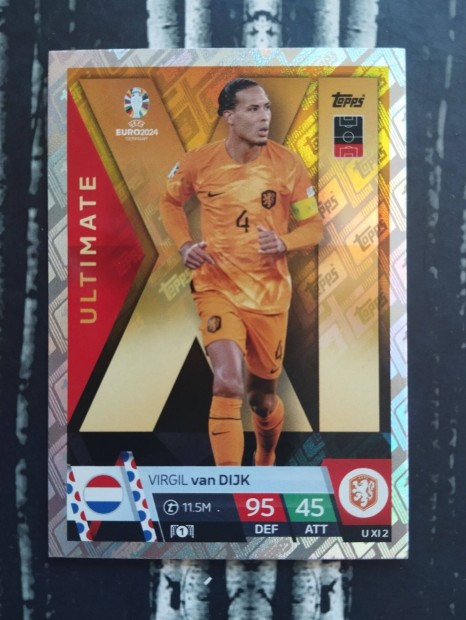 Virgil van Dijk (Hollandia) Ultimate XI Euro 2024 focis krtya