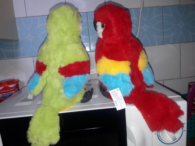 Visszabeszl szrnymozgat papagj 30 cm
