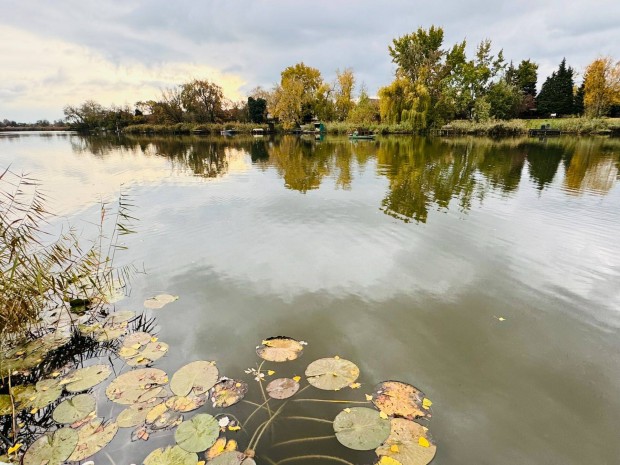 Vzparti, stges feljtott 4 vszakos nyaral Szigetcspen