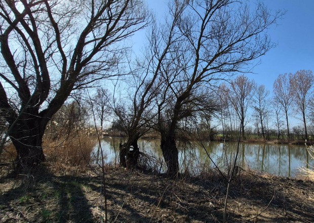 V�zparti telek a Holt-K�r�s�n 33 m�ter saj�t parttal