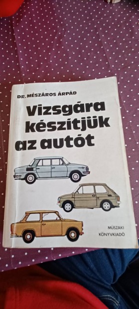 Vizsgra ksztjk az autt