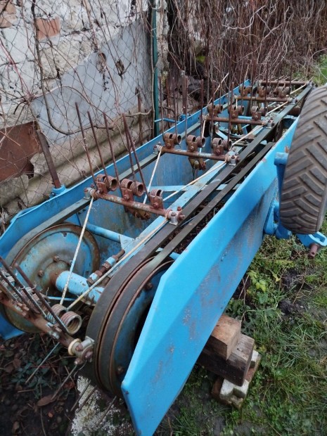 Vogel Noot rendsodr�