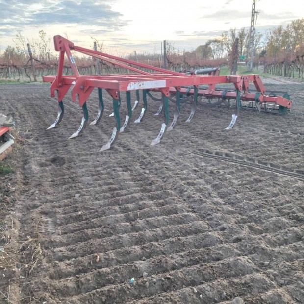 Vogel noot 11/13 kaps Gruber