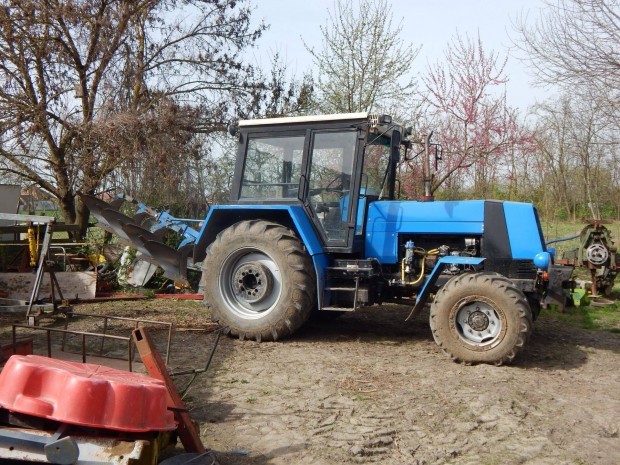 Vogel noot eke 4 fejes