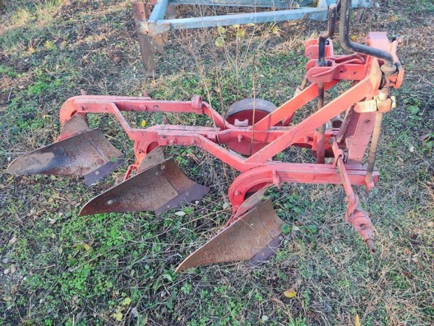 Vogelnoot �gyeke elad�