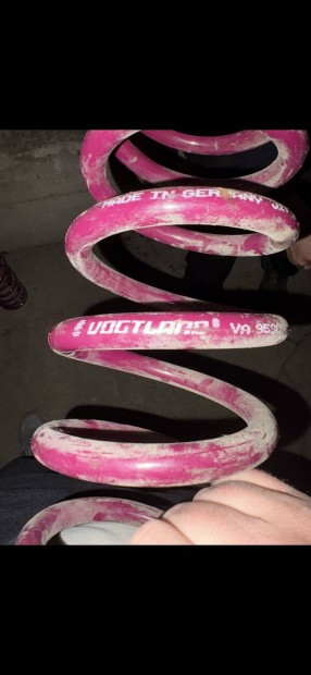 Vogtland ltetrug
