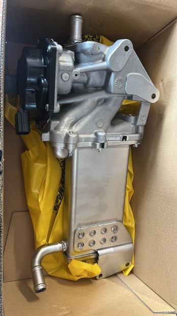Volkswagen Amarok, Golf VI EGR szelep 572022112015