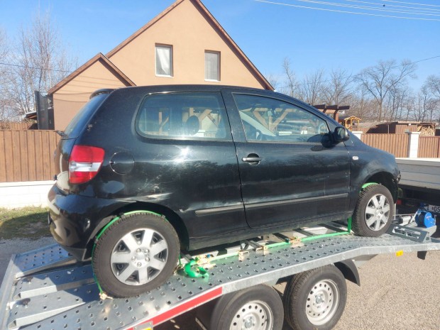 Volkswagen Fox (hinyos)