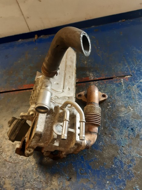 Volkswagen Golf V EGR H�t�