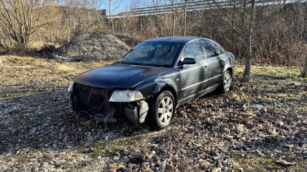 Volkswagen Passat V 1.9 PD TDI Trendline Busine...