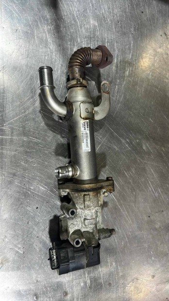 Volvo V70 III 3 MK3 egr