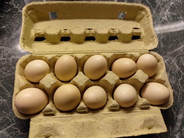 Vorwerk keltetni val� toj�s