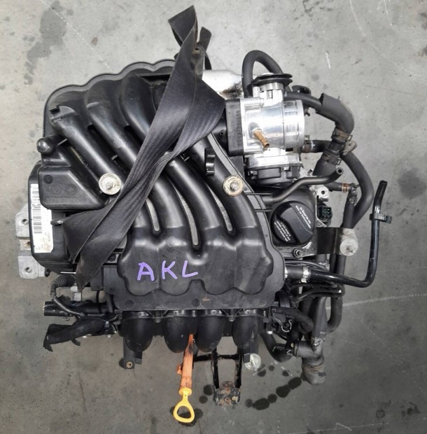 Vw Golf 4 Bora A3 Octavia Leon Toledo 1.6 AKL motor