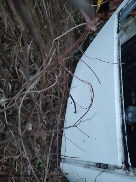 W177 W247 solat tet+szerkezet+szelterel