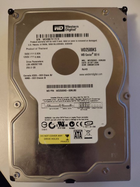 WDC (Western Digital) 250GB 3.5" HDD merevlemez