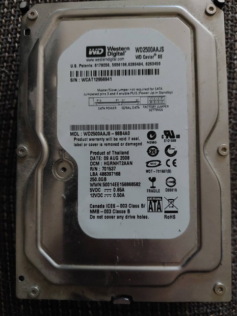 WD 250 GB merevlemez