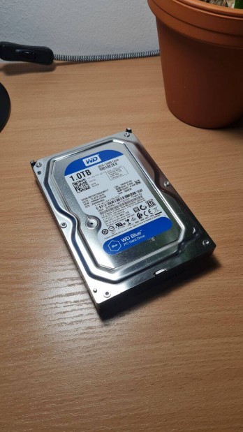 WD Blue 1.0TB HDD merevlemez