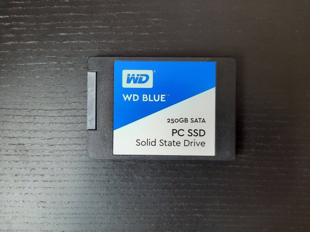 WD Blue PC SSD 250 GB