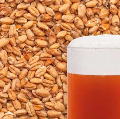 WHEAT DARK Búzamaláta 1kg 15 EBC (048)