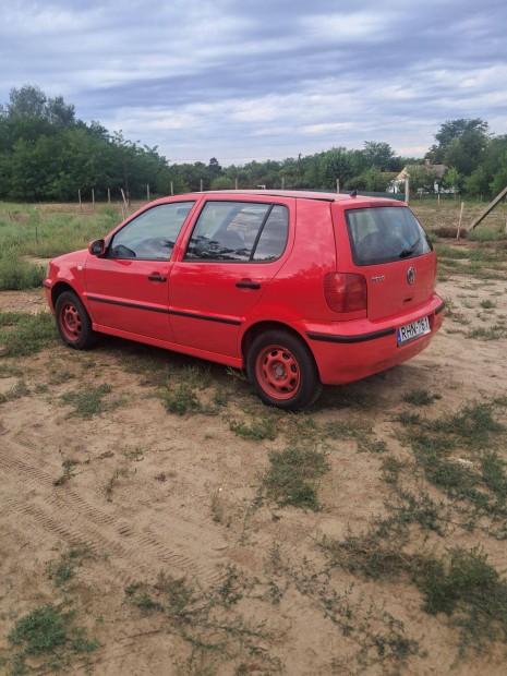 W polo elad