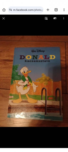 Walt Disney Donald kacsasztat