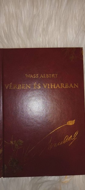 Wass Albert Vrben s viharban 21.