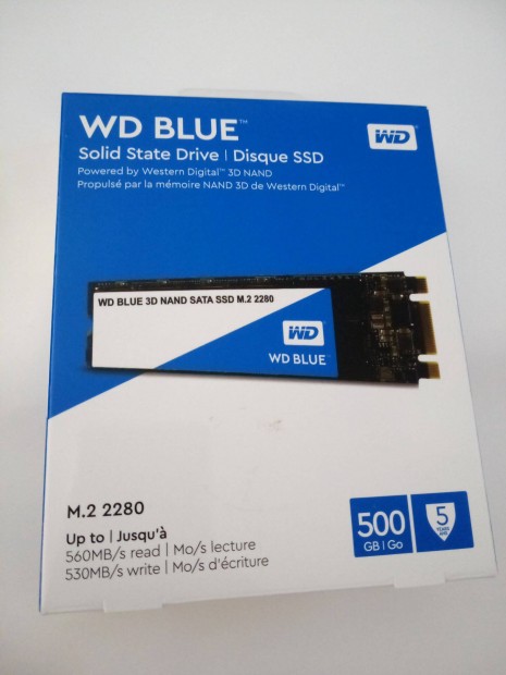 Wds500g2b0b 500gb m.2 ssd