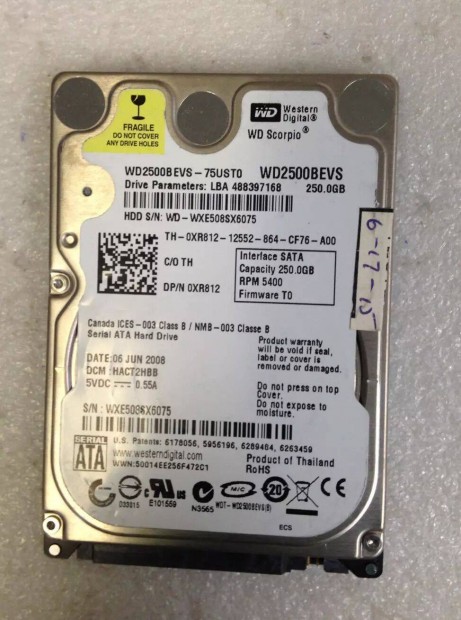 Western Digital 250Gb HDD Winchester