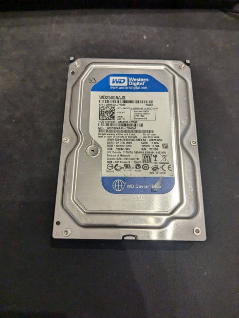 Western Digital WD2500Aajs HDD merevlemez SATA 100/100 250 GB 3,5"