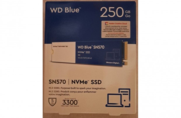 Western Digital WD Blue SN570 250GB M.2 SSD