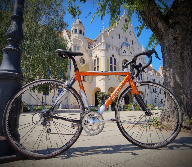 Wilier Gladio, (54cm) orszgti kerkpr