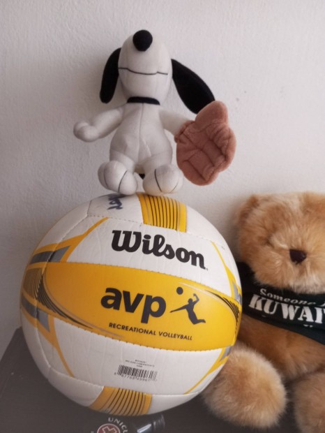 Wilson AVP rplabda 20cm, Snoopi kutyval elad Bp